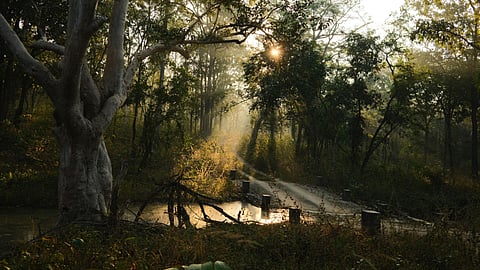 Where is Rudyard Kipling's Jungle in India?