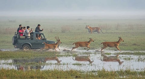 Wildlife photographer Sridhar Sivaram says nature lovers should visit this National Park