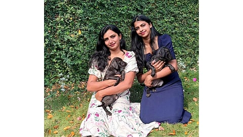 @waggytailsofchennai Paws of Hope adoption drive