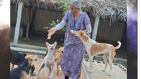 Aalaiyam A Home For Animals