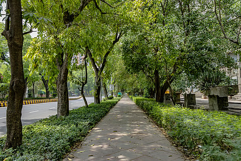 green cities in India
