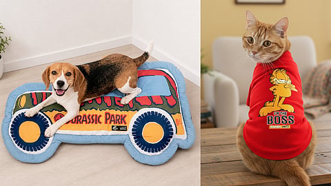 Pet accessories