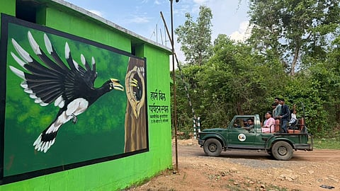 Hornbill Safari in Udanti- Sitanadi Tiger Reserve