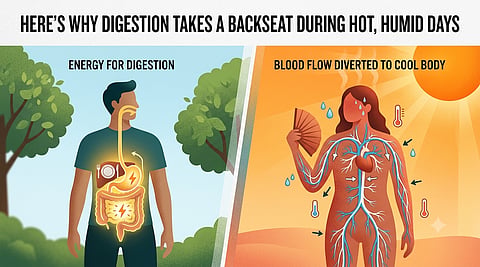 How extreme heat disrupts your gut motility, and the summer food habits you need to avoid for a healthy stomach