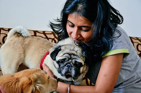 The bridge between pets and people: Inside the world of animal communication