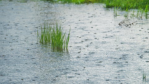Monsoon rituals: 4 unique traditions to appease the Rain Gods