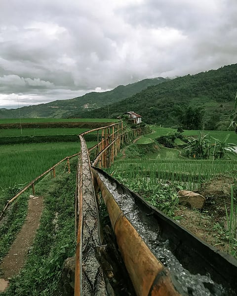 The bamboo drip irrigation system channels spring water through bamboo networks to sustain hill farming