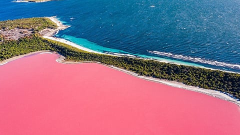 Beautiful pink lakes from all over the world you should visit