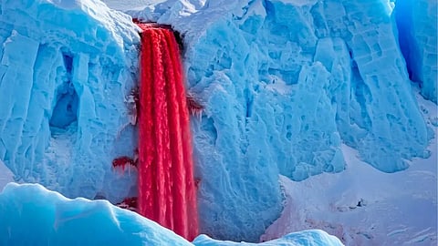 Antarctica's Blood Falls flowing with iron-rich brine and subglacial microbes from a hidden subterranean reservoir beneath Taylor Glacier