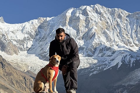 Butter the indie dog conquers Annapurna Base Camp