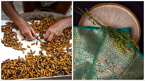 The smuggling of silkworms helped the Byzantine Empire break China’s centuries-old secret