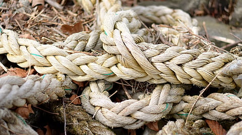 How to eat jute?