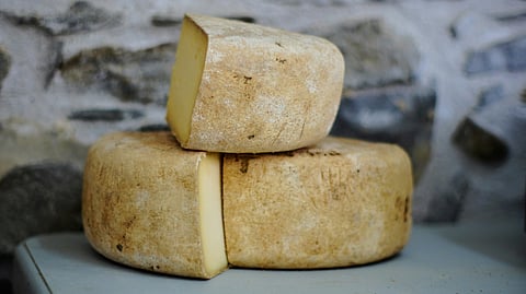 Bandel cheese remains one of India’s oldest cheeses with a smoky flavour and a remarkable cultural journey