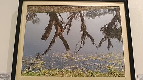 Sudeshna Mukherjee Ray's photographs are on display at the Birla Academy of Art and Culture till Aug 2