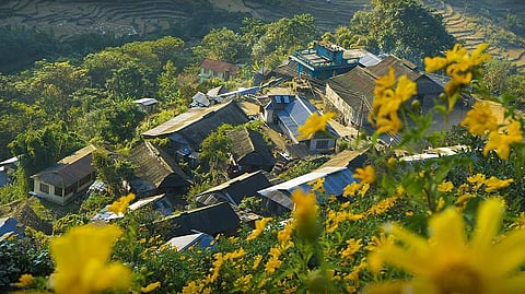 Have you been to India's first Green Village in Nagaland?