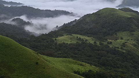 Coorg offers a refreshing escape into the heart of Karnataka’s Western Ghats
