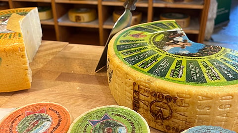 The world's best destinations for cheese lovers