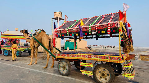 Rann Utsav 2026 promises a colourful celebration of Gujarat’s culture and landscapes