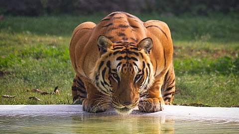 Ajabgarh Guide: From forts to hill trails and tiger reserve