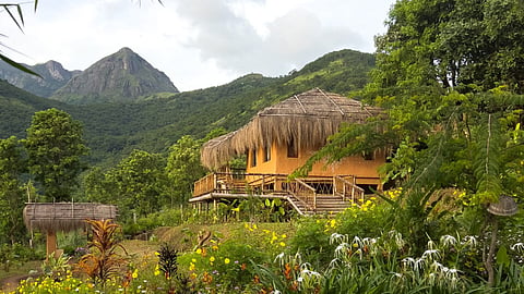 5 treehouses in Kerala for a holiday-season vacation!