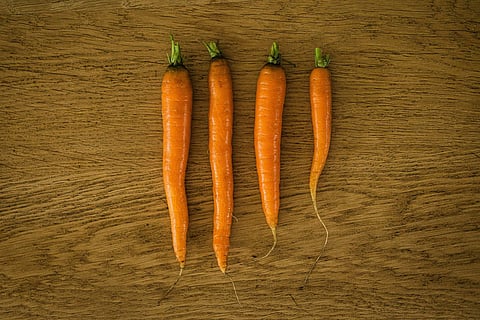 Is your high-protein diet putting your kidneys under stress?