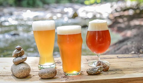 Craft beer appreciation