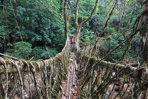 meghalaya