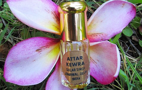 Summer in a vial: Refreshing fragrances to keep you cool this season