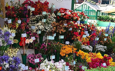 The hills are alive- The annual Ooty flower show begins today
