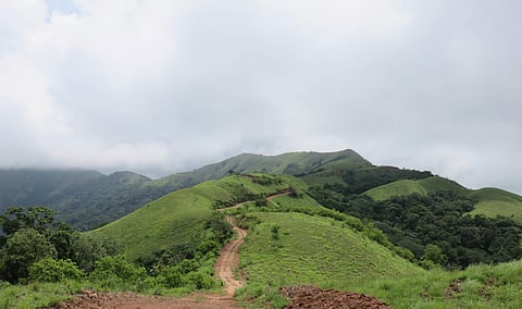 Save Western Ghats Movement aims to gathereco-activists under one roof