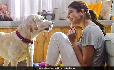 Anushka Sharma celebrates 30th birthday by revealing dream project