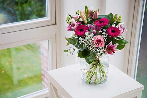 This Mother's Day, gift your mom exquisite flower arrangements from Interflora