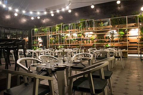 The Salt House