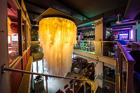 Church Street Social reopens with a new look and menu
