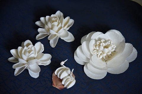 Shell craft