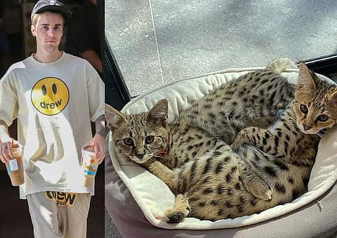 Justin