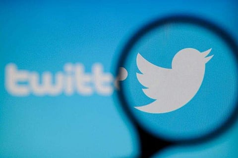 Twitter bug