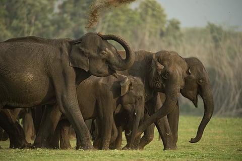 A scene from the documentary
