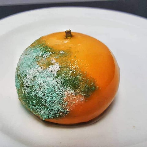 That isn't mould, it's matcha!