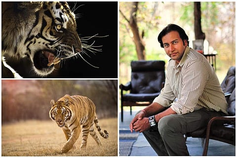 Tiger-man of India, Kailash Sankhala's grandson Amit Sankhala on 'Tigerland' that focuses on his grandfather's work and the role local communities and tourism play in the conservation process