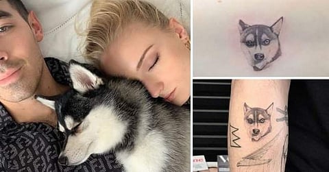 Sophie Turner, Joe Jonas get matching tattoos in memory of pet dog who died