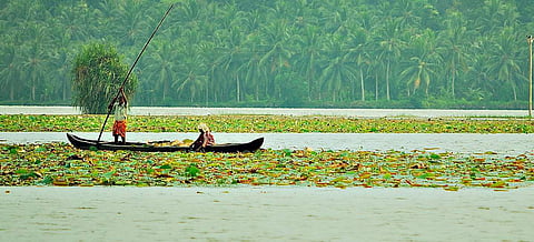Lake Vellayani
