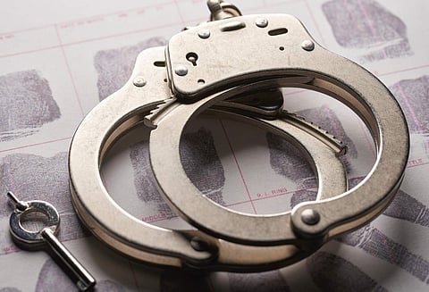 Mikaela Spielberg arrested