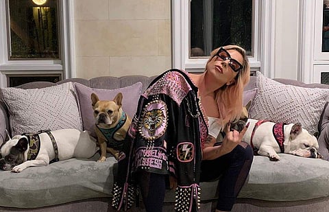 Lady Gaga in self-quarantine (Photo: Instagram)