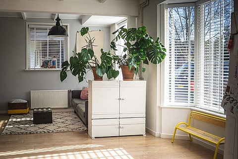 Energy begins at home: how to use feng shui to keep your spirits up during the lockdown