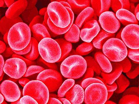 Background_platelets