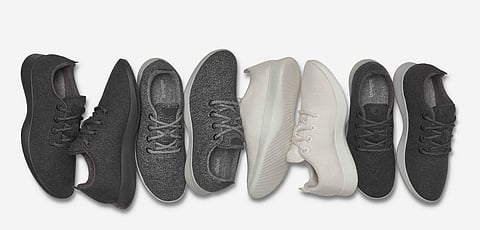 allbirds