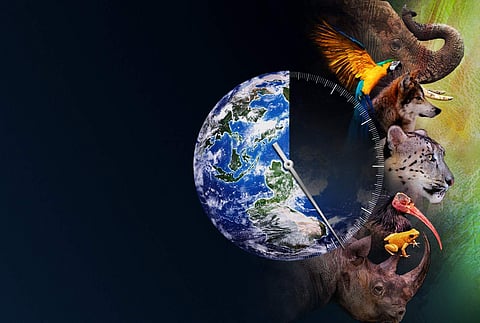 Racing Extinction