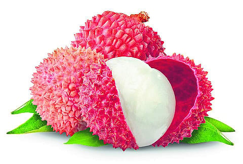 Fruit pick of the season: Why you need to add lychees to your diet, pronto!