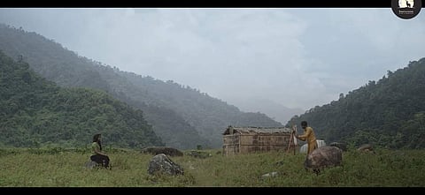 Still from Aquarium